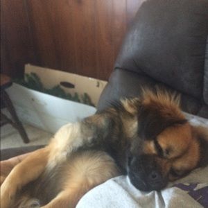 Meet your Posher, Tina